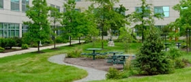 LVHN Outdoor Seating Plazas